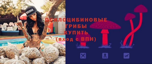 дживик Зеленодольск
