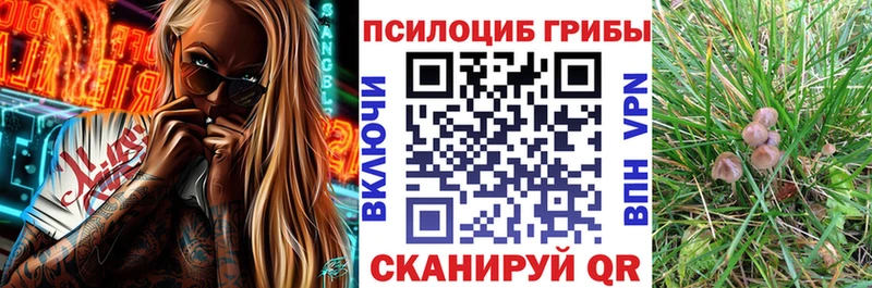 Купить закладки  Ишимбай  Псилоцибиновые грибы мицелий 
